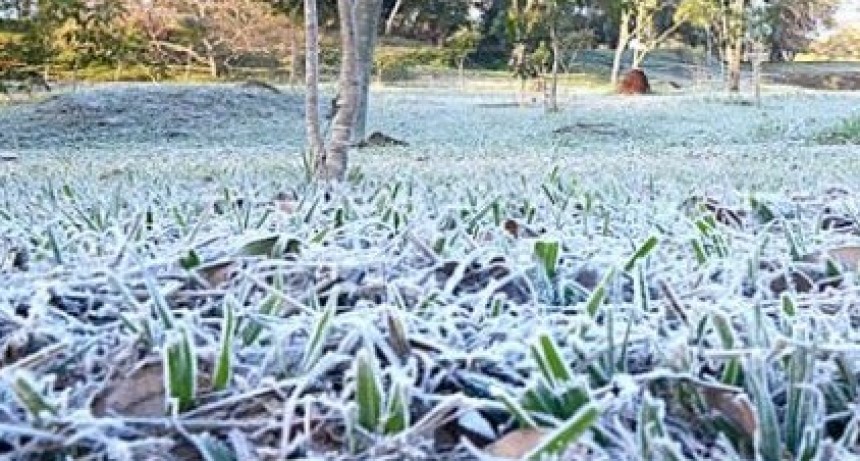 Este martes; Tremenda helada en Urdinarrain -3.3°C (bajo cero)