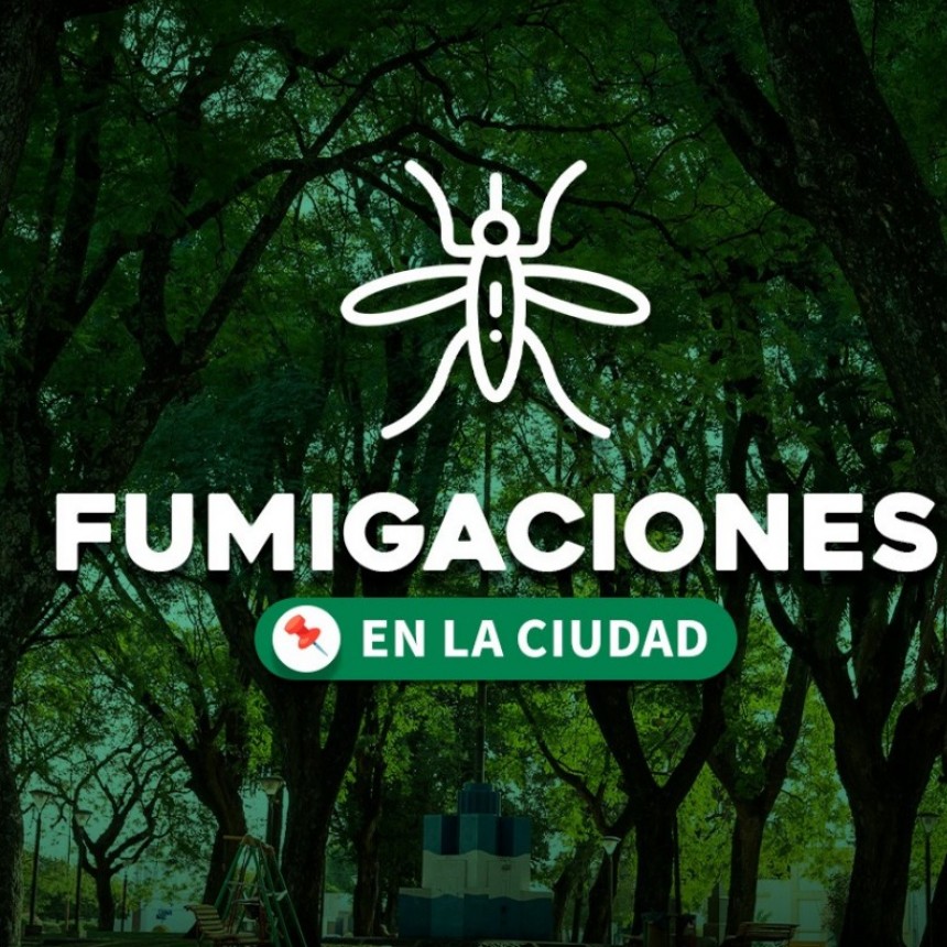 SE REALIZAN FUMIGACIONES POR MOSQUITOS EN URDINARRAIN