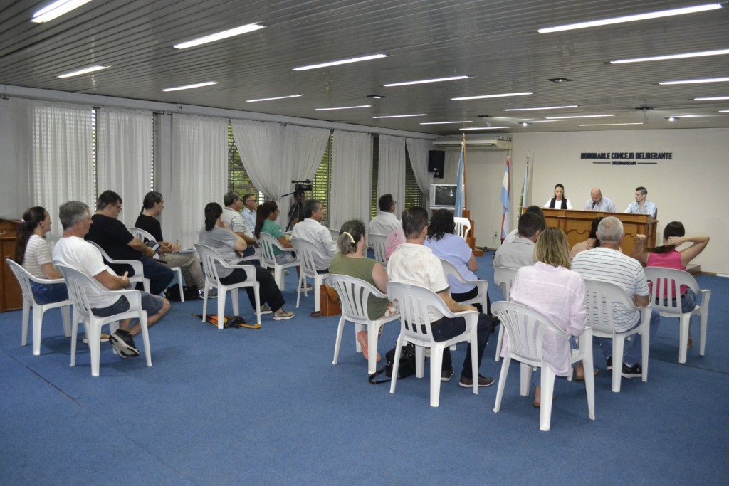 Se realizó la Audiencia Pública N°4 en nuestra ciudad