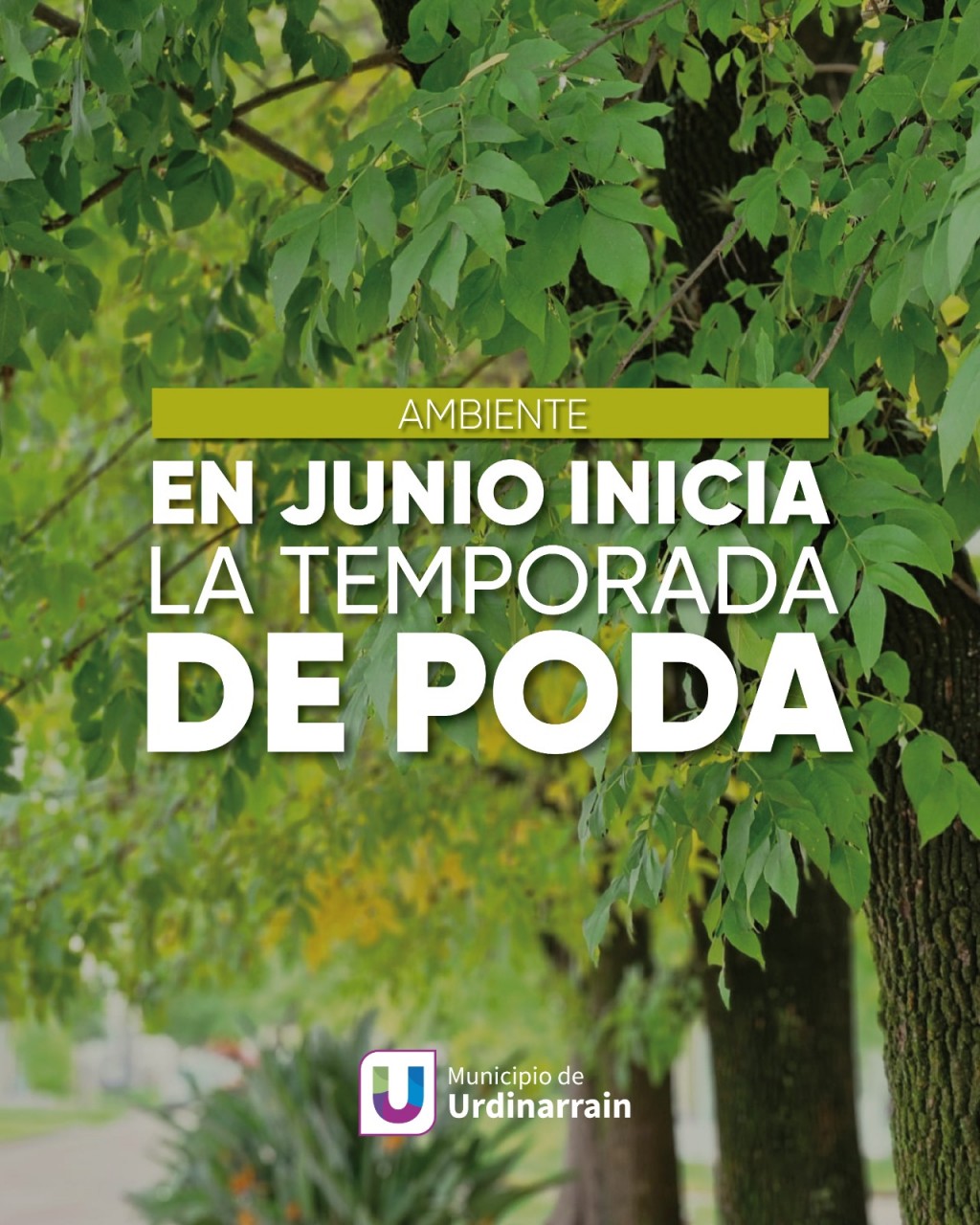 En JUNIO comienza la temporada de poda  