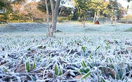 Este martes; Tremenda helada en Urdinarrain -3.3°C (bajo cero)