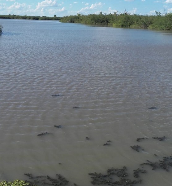 BUSCAN A UN HOMBRE DESAPARECIDO EN UNA LAGUNA DE GILBERT