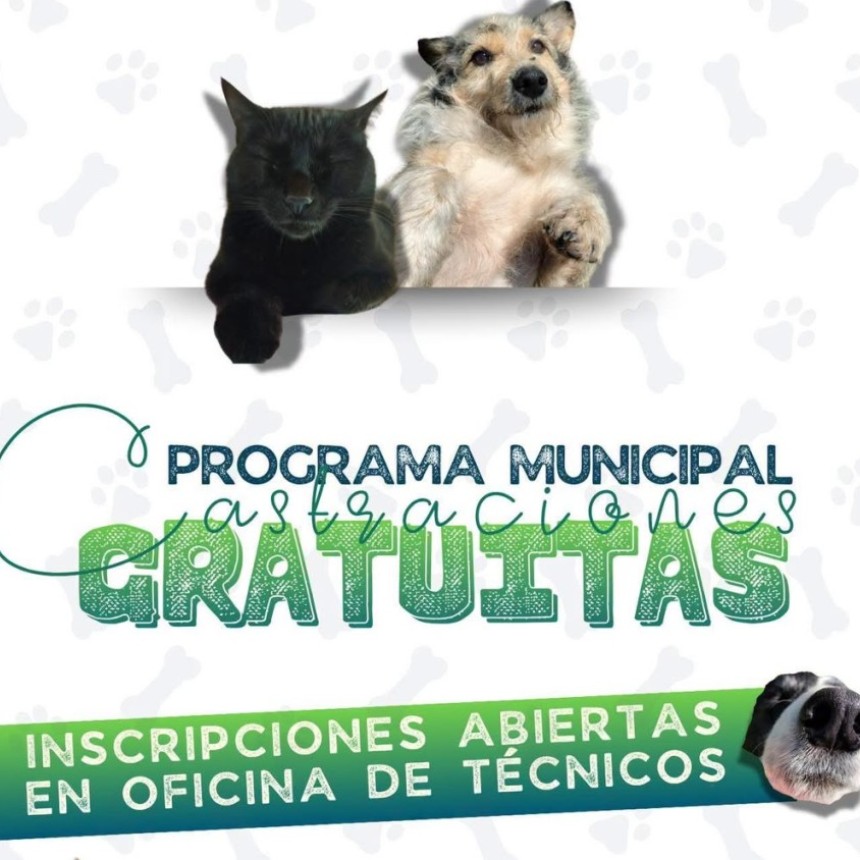 EN GILBERT: Programa Municipal de Castraci&oacute;nes de perros y Gatos