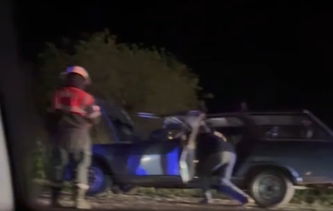 🚨 Accidente en Ruta 20: un vehículo embistió a dos equinos al norte de Urdinarrain