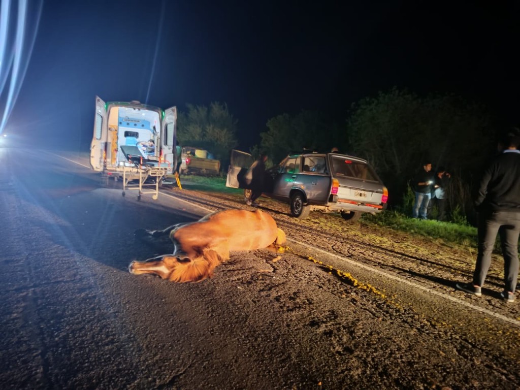 🚨 Accidente en Ruta 20: un vehículo embistió a dos equinos al norte de Urdinarrain